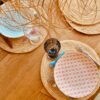 Set de Table