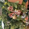 Cloche décorative  (décoration Sapin ou arbre de Doing Goods)