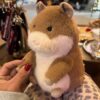 Peluche Cochon d'Inde  de Jellycat – Image 2